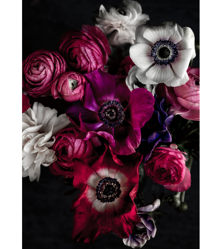 Wrapped Canvas Print, 76.2 cm H x 50.8 cm W