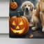 Drapeau de maison d'Halloween en polyester à double face H 40 po x l 28 po