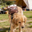 Sac à dos animé avec harnais pour chien de vache, sac à dos mignon avec compartiment de rangement - filet respirant, pour petites et moyennes races