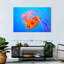 Somersault Brampt Jellyfish-107707519