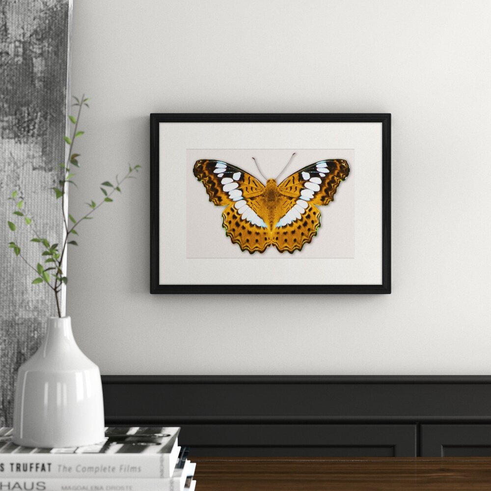 Gerahmtes Poster Schmetterling-Serie 34