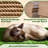 Siegfried Multi-Level Cat Tree-1642784910