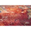 High-Quality Hand-Knotted Red And Multi Area Rug