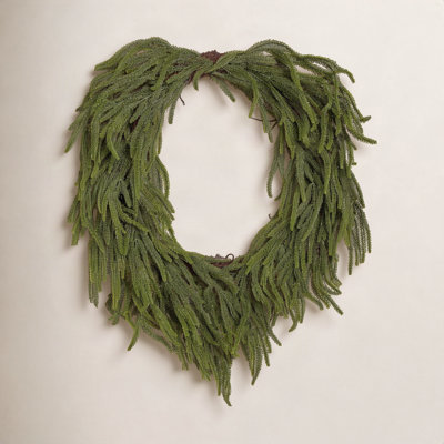 30" Green Norfolk Pine Wreath.