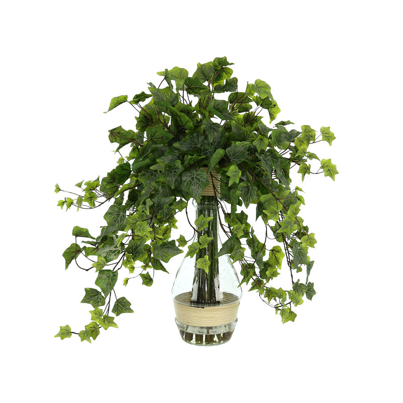 Jenner Faux Ivy Plant in Glass Vase