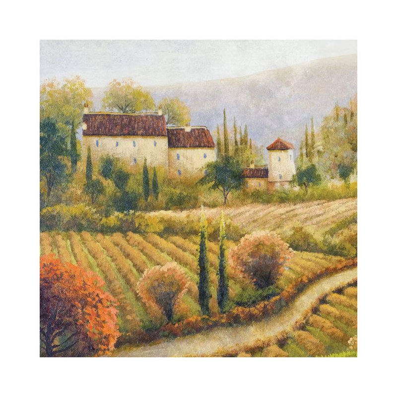 Tuscany Vineyard I by Michael Marcon - Wrapped Canvas Print, 30.48 cm H x 30.48 cm W