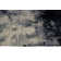 Carnelia Indoor Rug