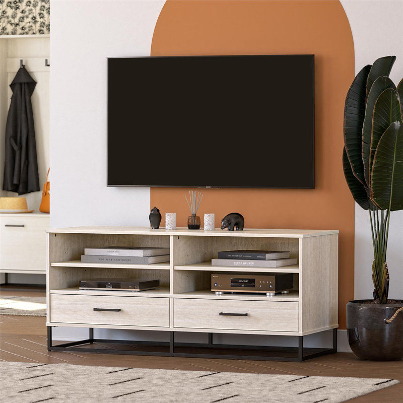 Kelly TV Stand for TVs up to 55"