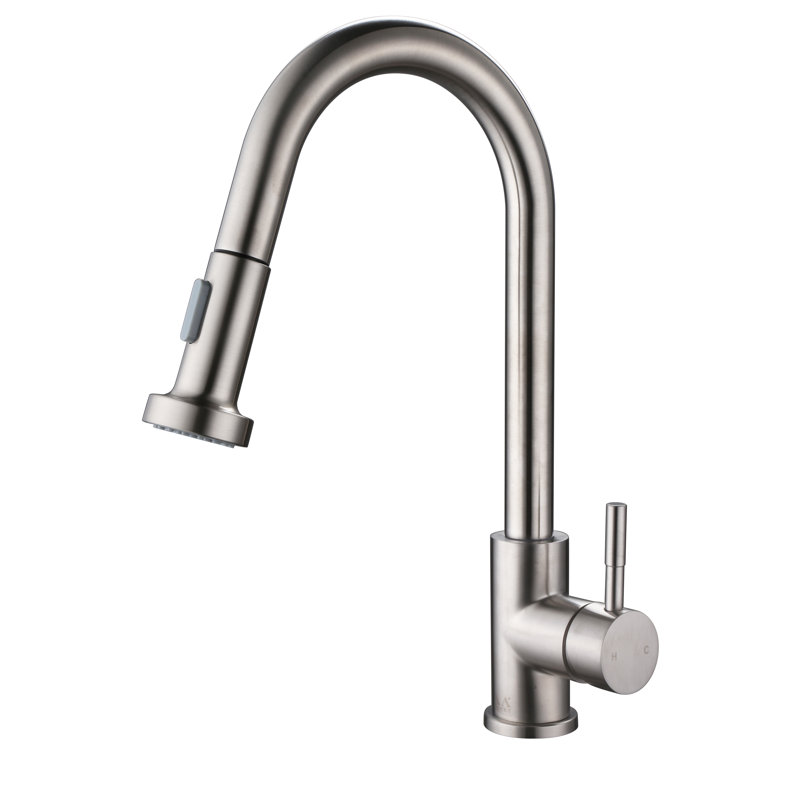 Robinet de cuisine à poignée simple en acier inoxydable avec accessoires