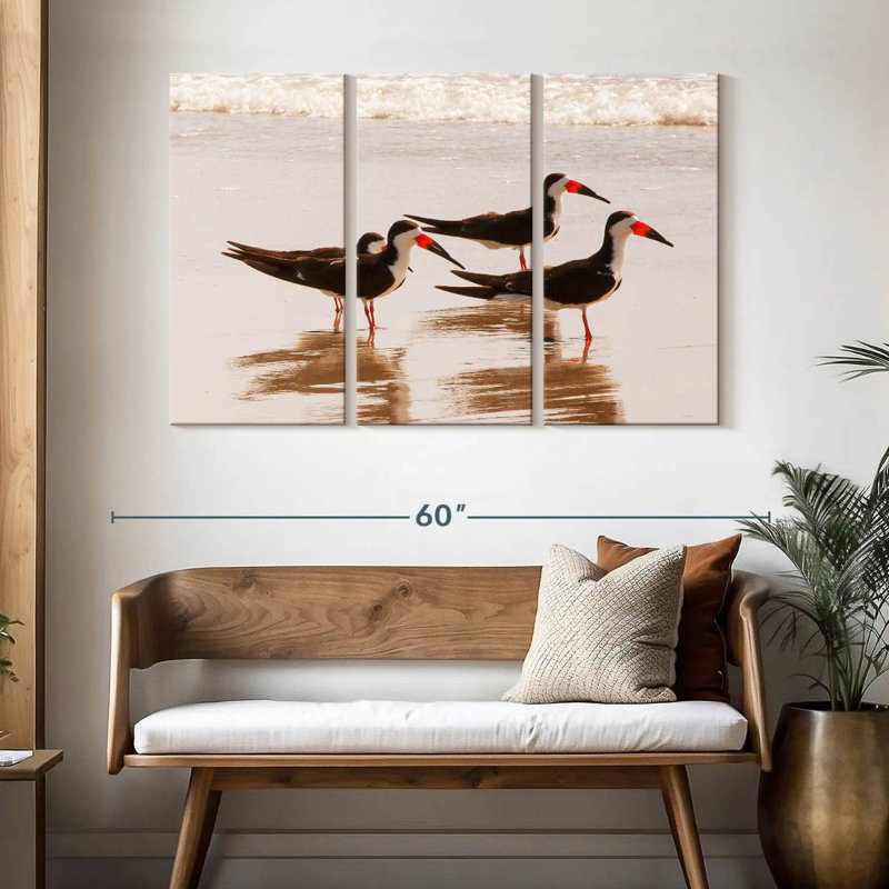 Brampt A Few Black Skimmers I, H 32 po x l 50 po