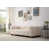 Velours beige / brun clair est en rupture de stock
