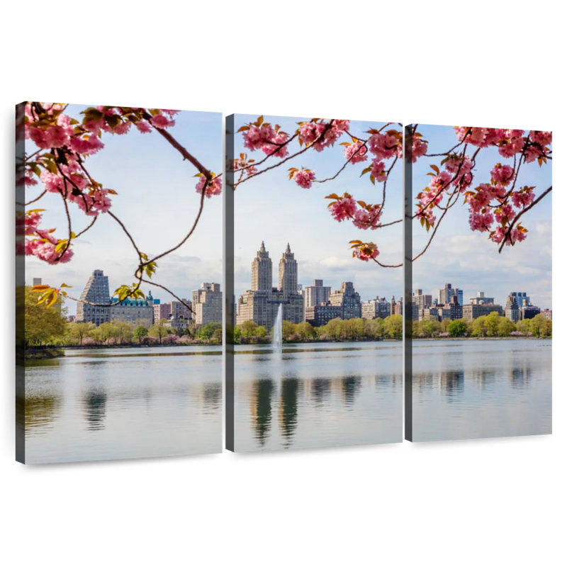 Fleurs de cerisier de Sirci Central Park, H 24 po x l 38 po
