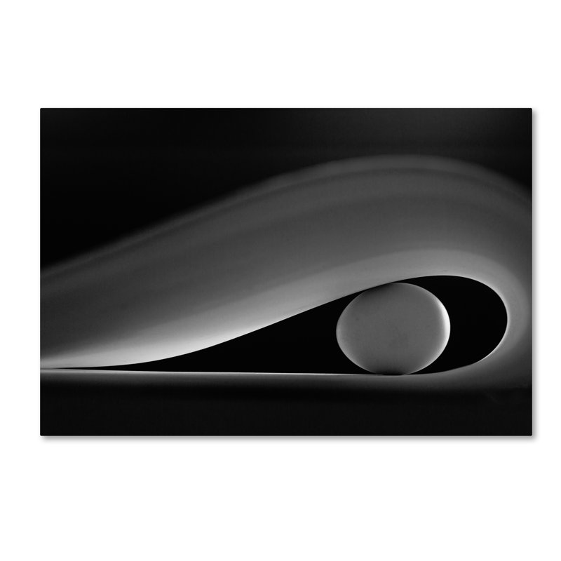 « the oeuf », reproduction d’impression sur toile tendue, 16 po x 24 po