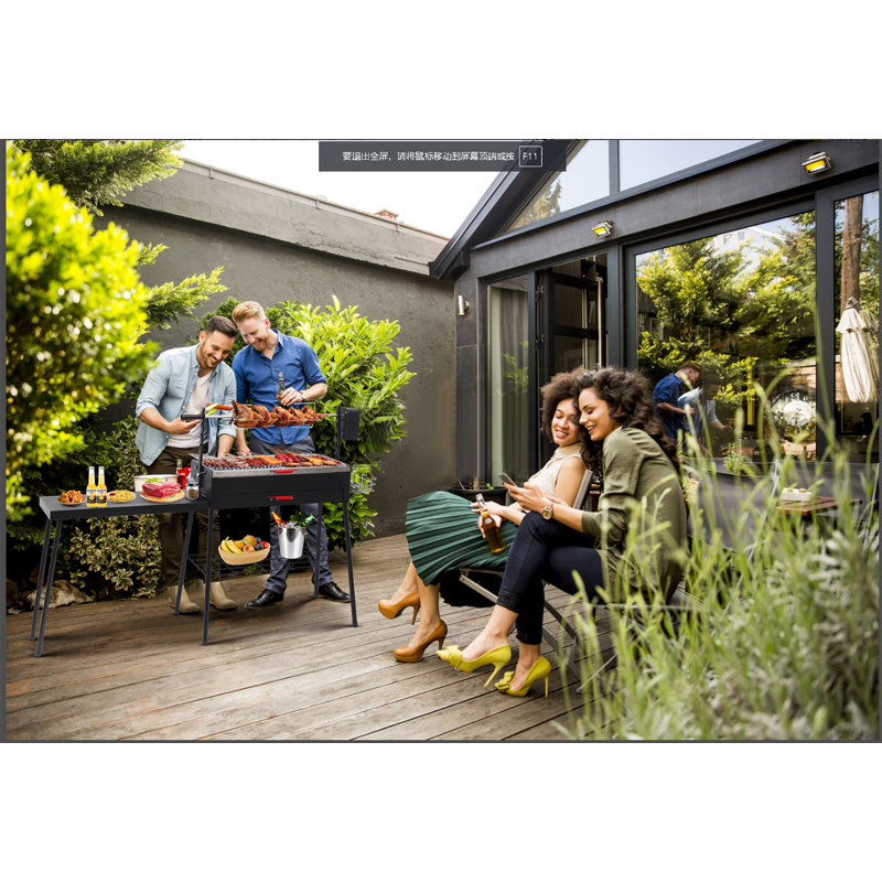 Barbecue au charbon WGOS 63 W