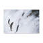 No Frame Print on Canvas-965246027