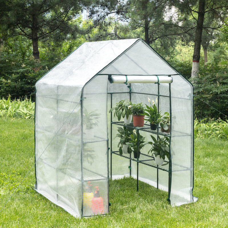 Ellerslie 4.7 Ft W x 11.8 Ft D Mini Greenhouse, Clear