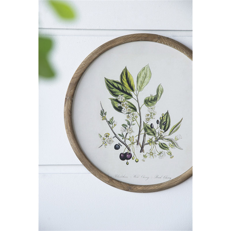 S/4 D19.7" Flora Print Round Frame