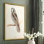 Reproduction encadrée Canada Owl - bois massif-2013225869-2013225868