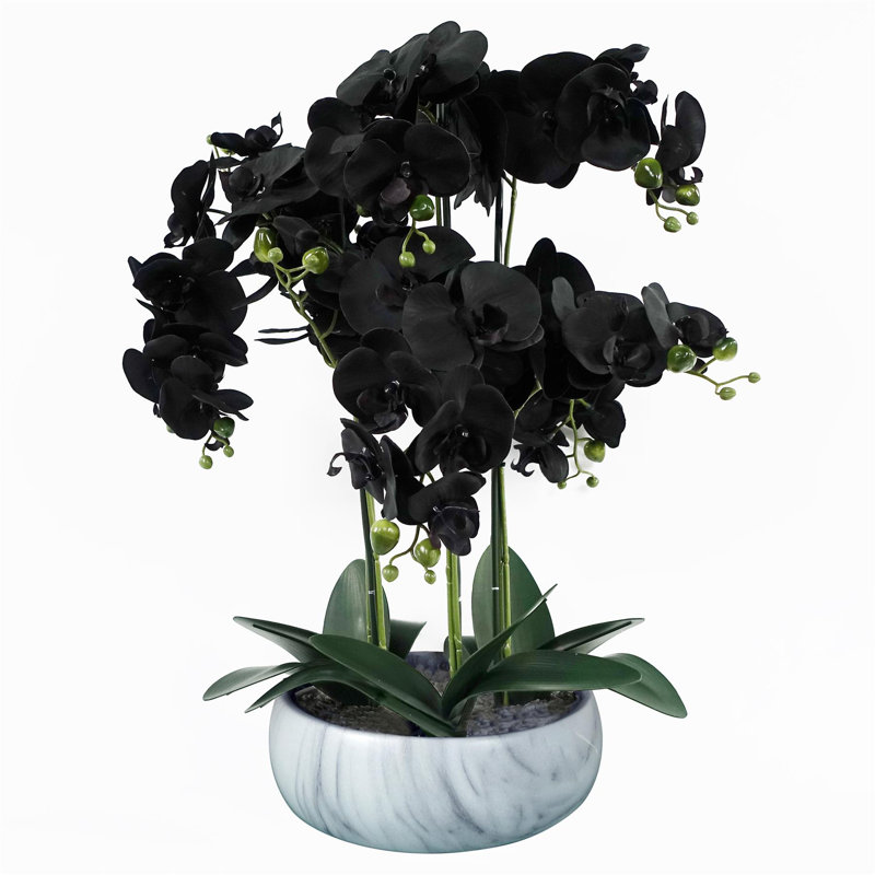 Orchids Plastic, Silk Artificial Arrangement in Planter, White