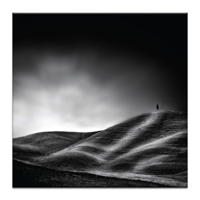 Photographers Lane - Wrapped Canvas Print, 41cm H x 41cm W