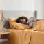 Ensemble de draps Luxury Collection Classic-106306943-106306953