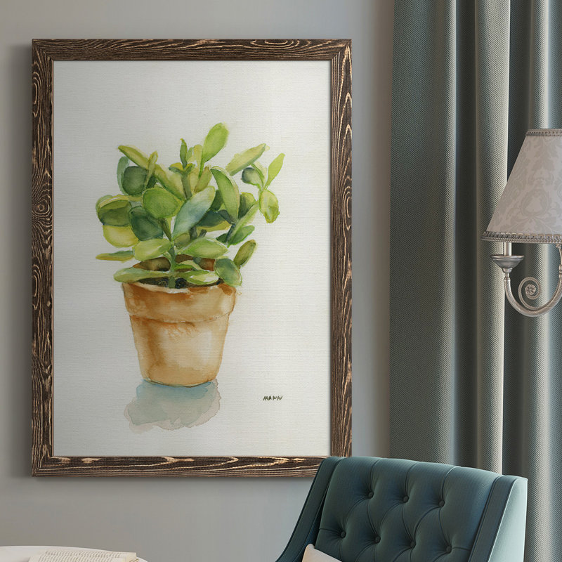«Succulent I», reproduction sur toile, H 43,5 po x l 31,5 po x P 1 po, Noyer