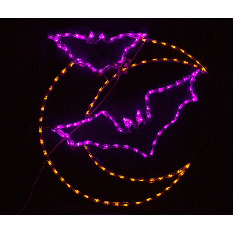 Chauves-souris suspendues avec lune