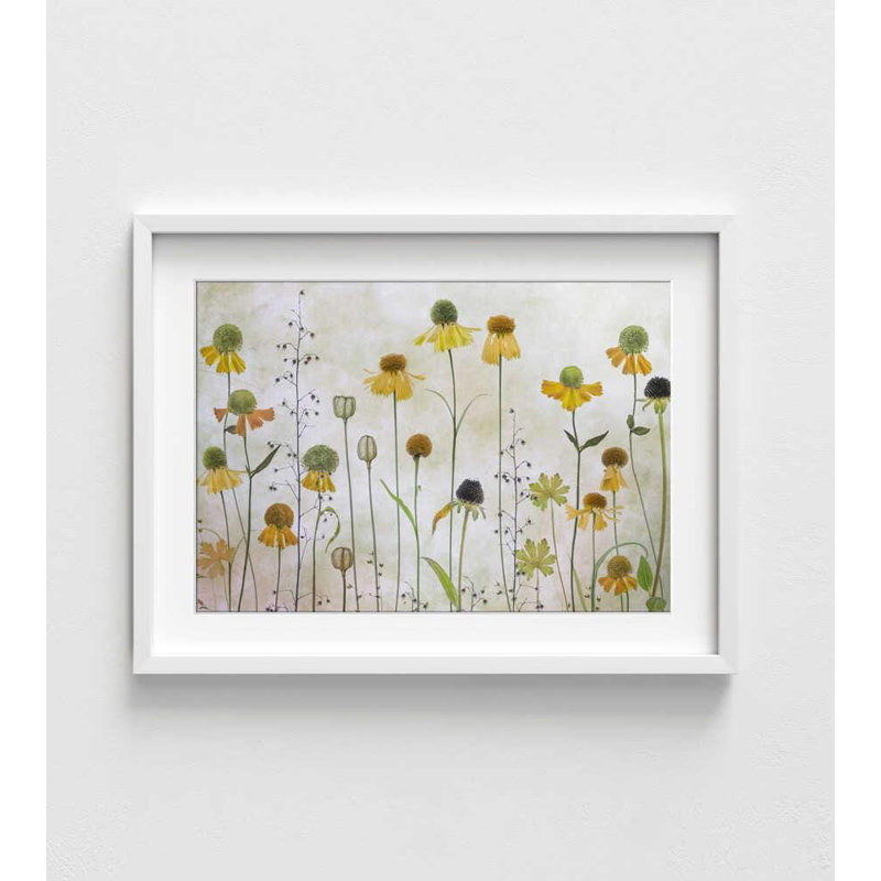 Wild Meadow Blooms - reproduction d'art botanique douce, Impression encadrée avec passe-partout, H 12 po x l 16 po, Blanc