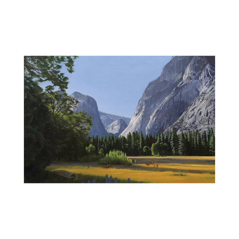 Yosemite Valley by Nick Savides - Wrapped Canvas Print, 20.32 cm H x 30.48 cm W