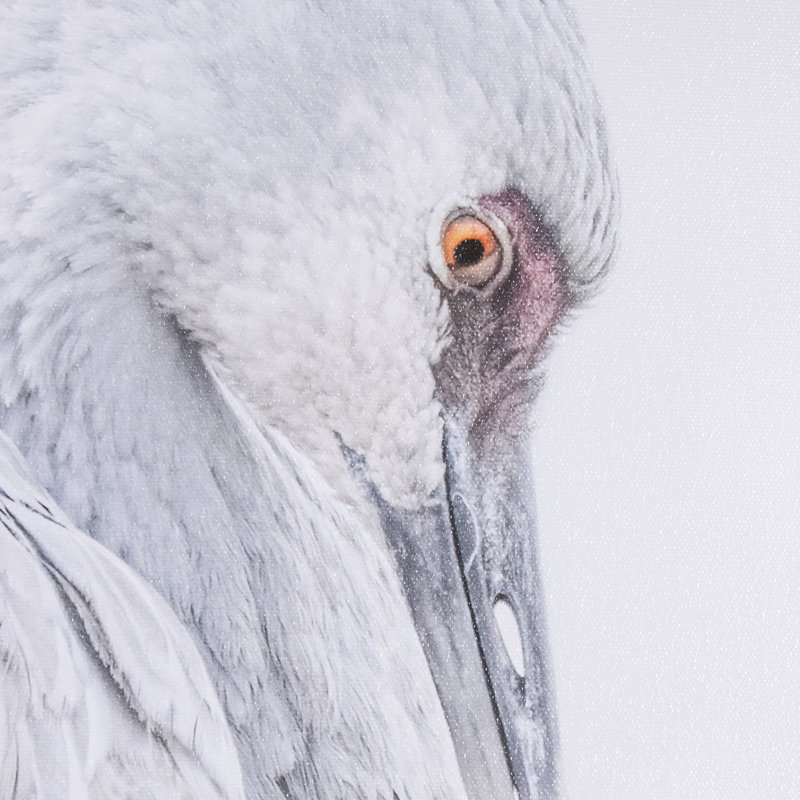 «Sandhill Crane II» par Chad Mckay, reproduction d'art encadrée à la main, H 46,5 po x l 31,5 po po