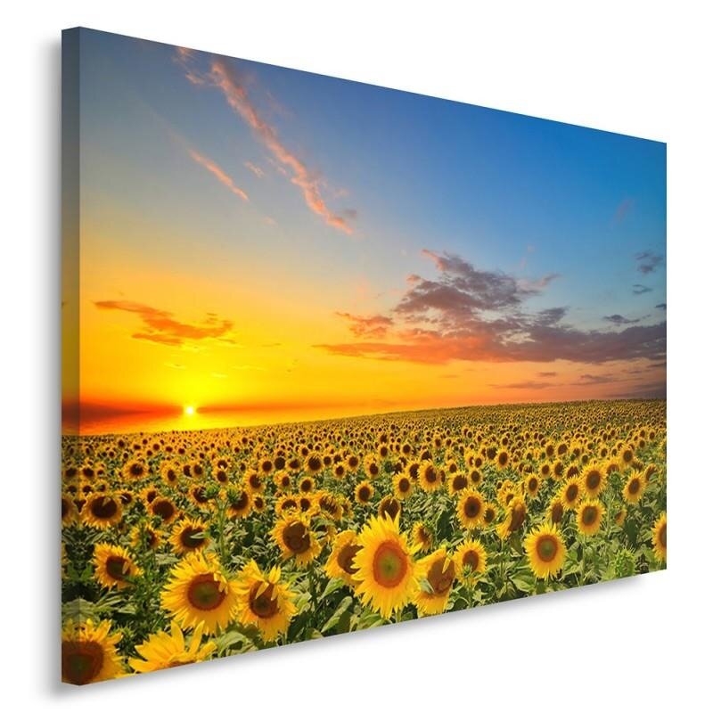 Leinwandbild Sonnenblumen-Landschaft