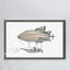 'Voyager' Framed Print-21127260