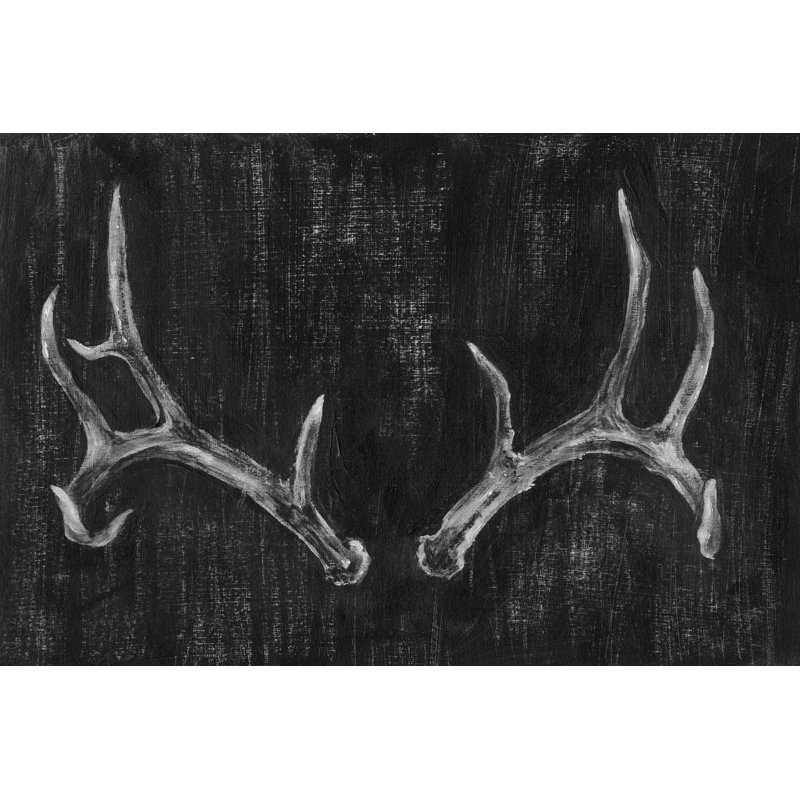 «Rustic Antler II» par Ethan Harper - reproduction d'art sur toile, H 20 po x l 30 po, Impression encadrée avec passe-partout