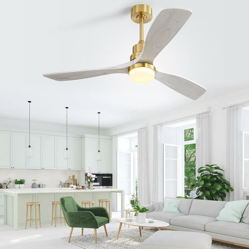 George Oliver Nicola 52'' Ceiling Fan with LED Lights & Reviews | Wayfair