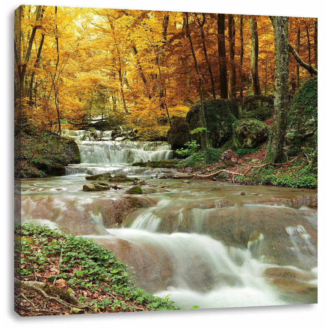 Leinwandbild Waldbach im Herbst