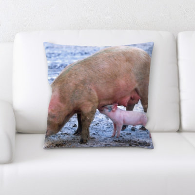 Coussin de porc Amatia