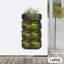 Ensemble de 16 pots de fleurs muraux-531840832