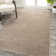 Asami Solid Low-Pile Beige Rug