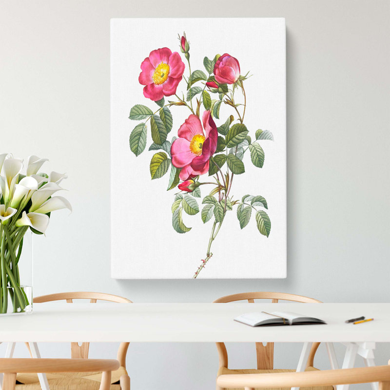 Rose Of Love by Pierre-Joseph Redoute - Wrapped Canvas, 76cm H x 50cm W x 3cm D