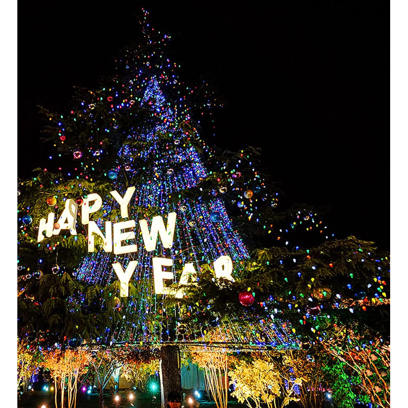 3'' LED Globe String Lights