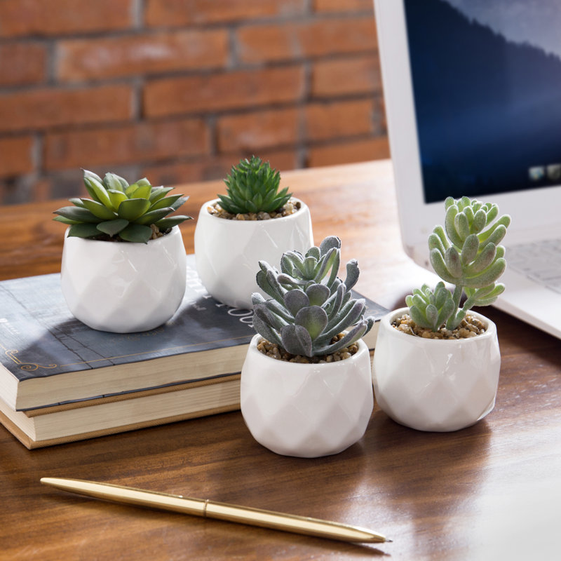 Plante succulente artificielle en pot 4 pièces