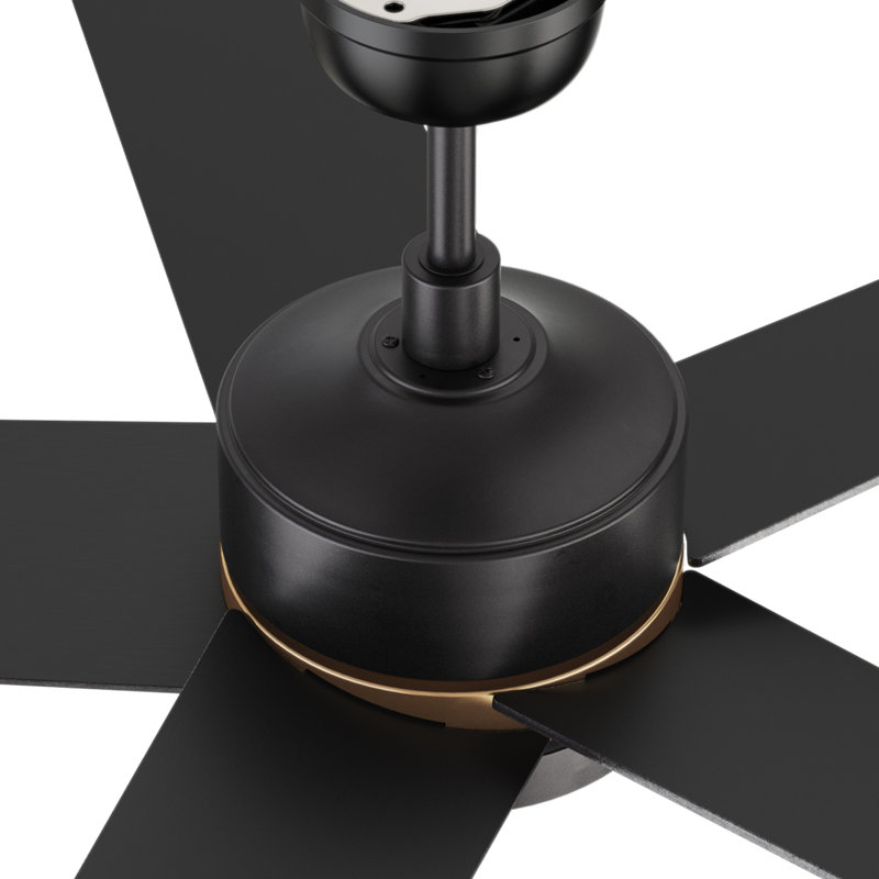  52'' Smart Ceiling Fan with Integrated LED light, Remote Control, Black