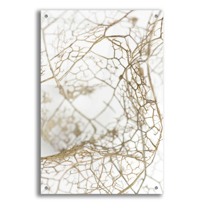 Leaf Skeleton On Plastic / Acrylic by Design Fabrikken Print