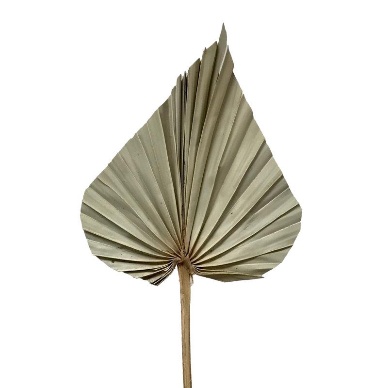 Erkson Arrangement