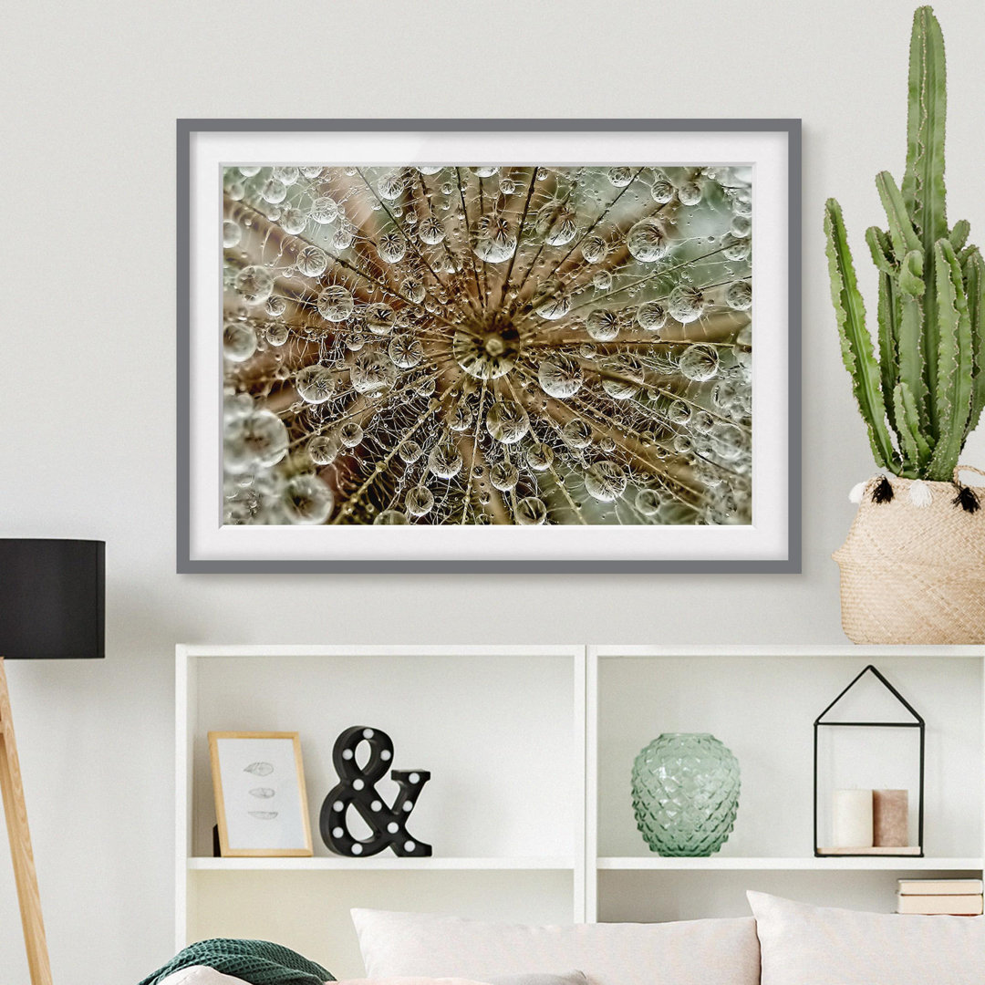 Gerahmtes Poster Dandelion in Autumn