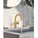 Cia Single Hole Bathroom Faucet, Modern One Handle Bathroom Sink Faucet with Drain Assembly