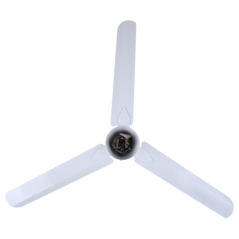 Dutton 60'' Ceiling Fan, White