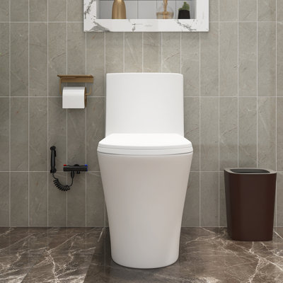 TCYO GPF Elongated One-Piece Toilet (Seat Included)