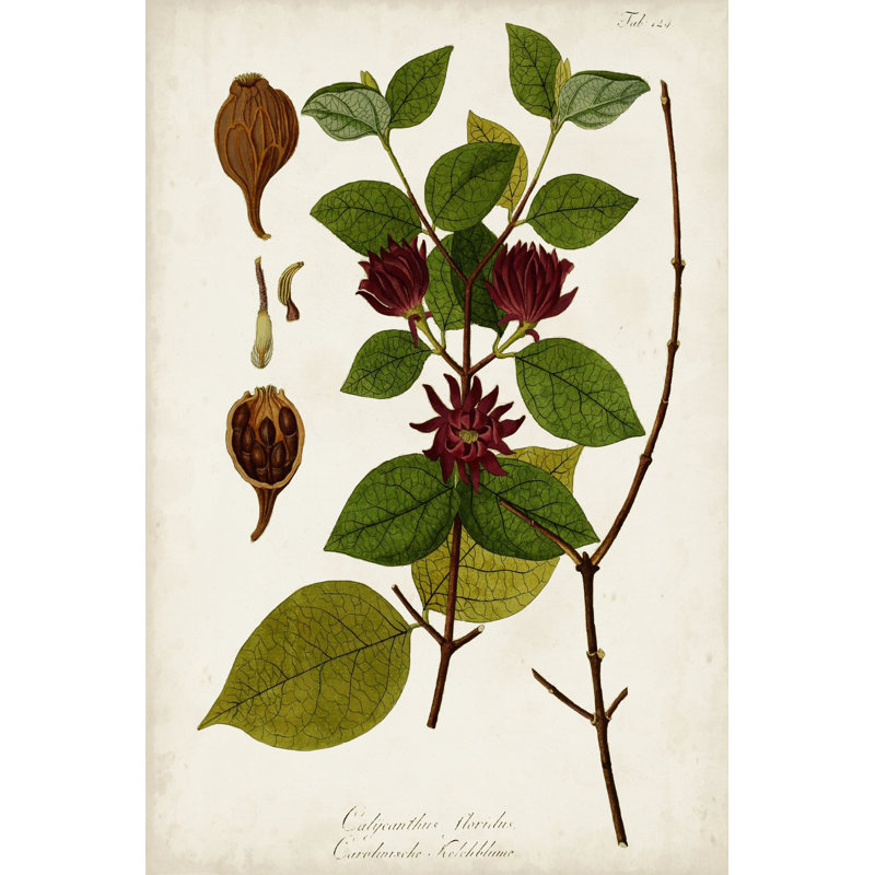 Verdure antique I, H 48 po x l 32 po