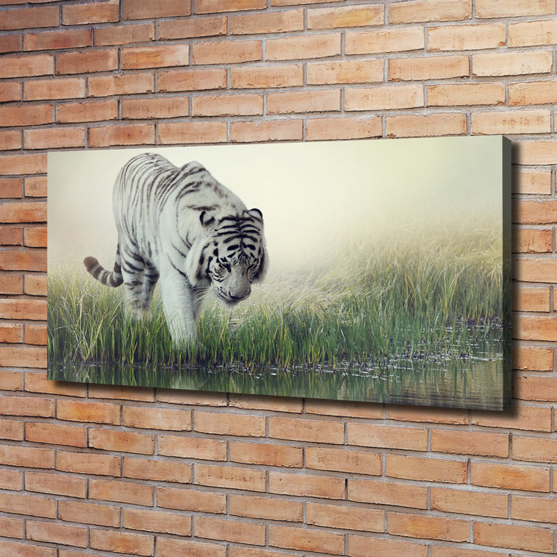 White Tiger - Wrapped Canvas Print